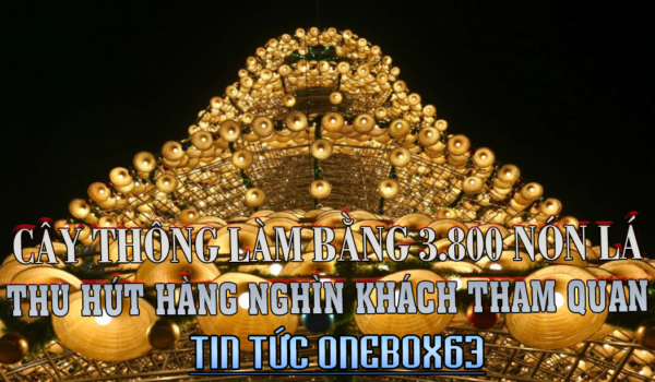 CÂY THÔNG ĐỒNG NAI LÀM BẰNG 3.800 NÓN LÀ