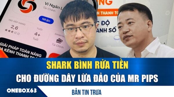 Shark Bình rửa tiền cho đường dây lừa đảo của Mr Pips Nguyễn Hòa Bình (tức Shark Bình)